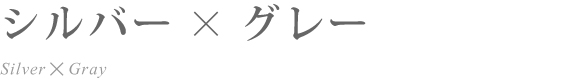 シルバー×グレー