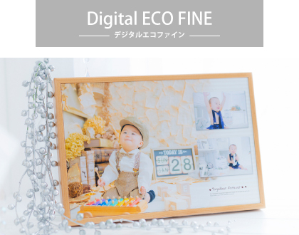 デジタルエコファイン