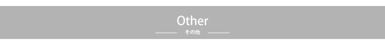その他