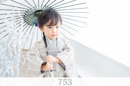 753 photo gallery